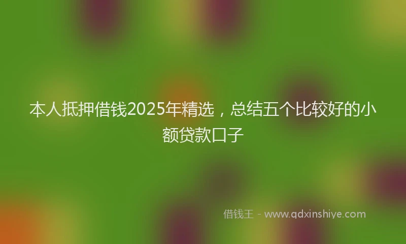 本人抵押借钱2025年精选，总结五个比较好的小额贷款口子