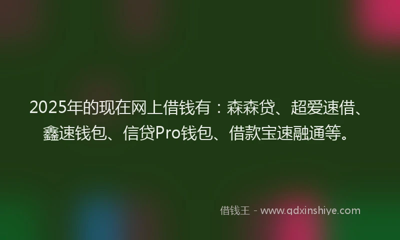 2025年的现在网上借钱有：森森贷、超爱速借、鑫速钱包、信贷Pro钱包、借款宝速融通等。