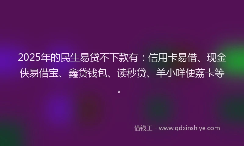 2025年的民生易贷不下款有：信用卡易借、现金侠易借宝、鑫贷钱包、读秒贷、羊小咩便荔卡等。