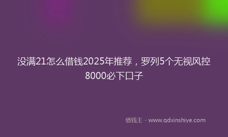 没满21怎么借钱2025年推荐，罗列5个无视风控8000必下口子