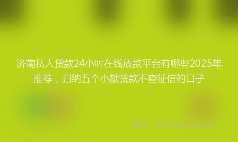 济南私人贷款24小时在线放款平台有哪些2025年推荐，归纳五个小额贷款不查征信的口子