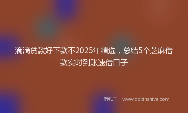 滴滴贷款好下款不2025年精选，总结5个芝麻借款实时到账速借口子