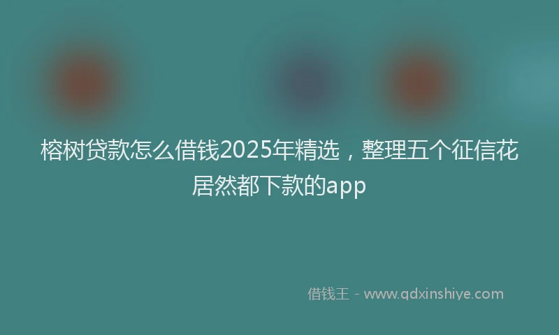 榕树贷款怎么借钱2025年精选，整理五个征信花居然都下款的app