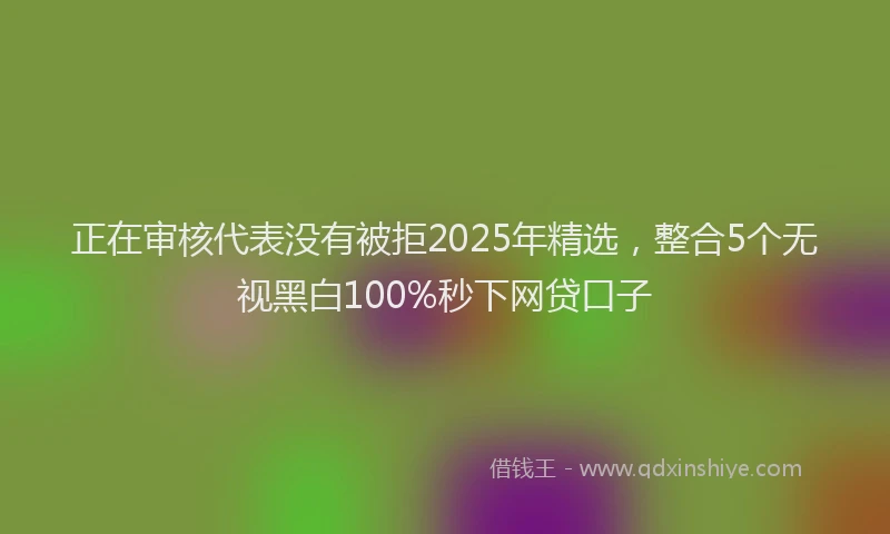 正在审核代表没有被拒2025年精选，整合5个无视黑白100%秒下网贷口子
