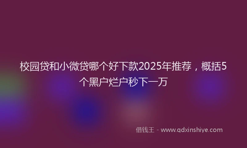校园贷和小微贷哪个好下款2025年推荐，概括5个黑户烂户秒下一万