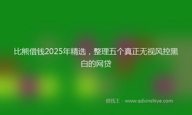 比熊借钱2025年精选，整理五个真正无视风控黑白的网贷