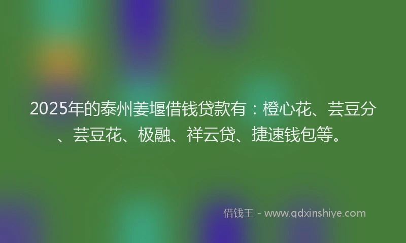 2025年的泰州姜堰借钱贷款有：橙心花、芸豆分、芸豆花、极融、祥云贷、捷速钱包等。