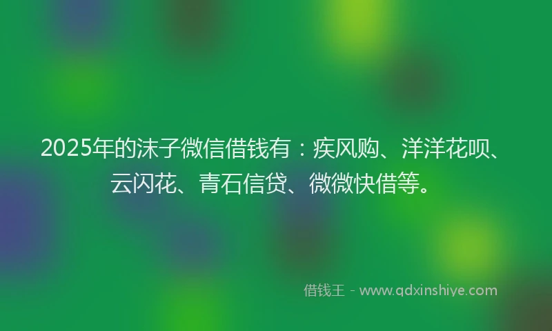 2025年的沫子微信借钱有：疾风购、洋洋花呗、云闪花、青石信贷、微微快借等。