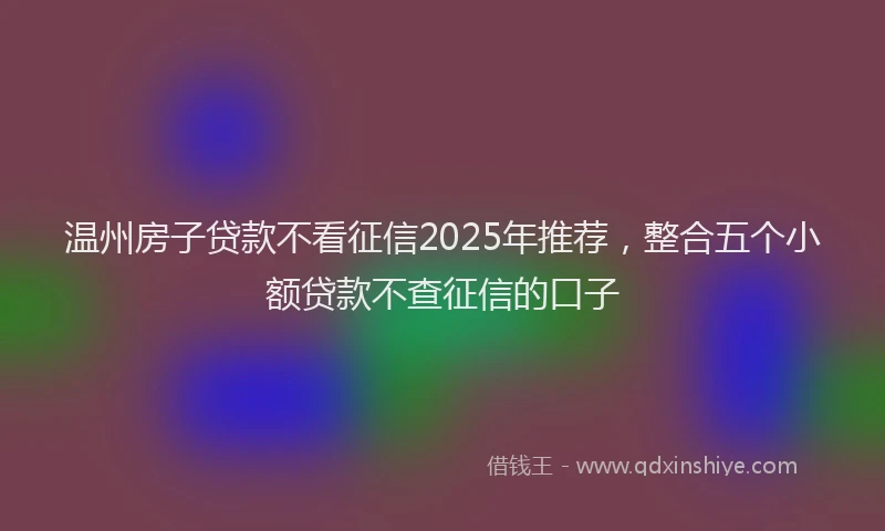 温州房子贷款不看征信2025年推荐，整合五个小额贷款不查征信的口子