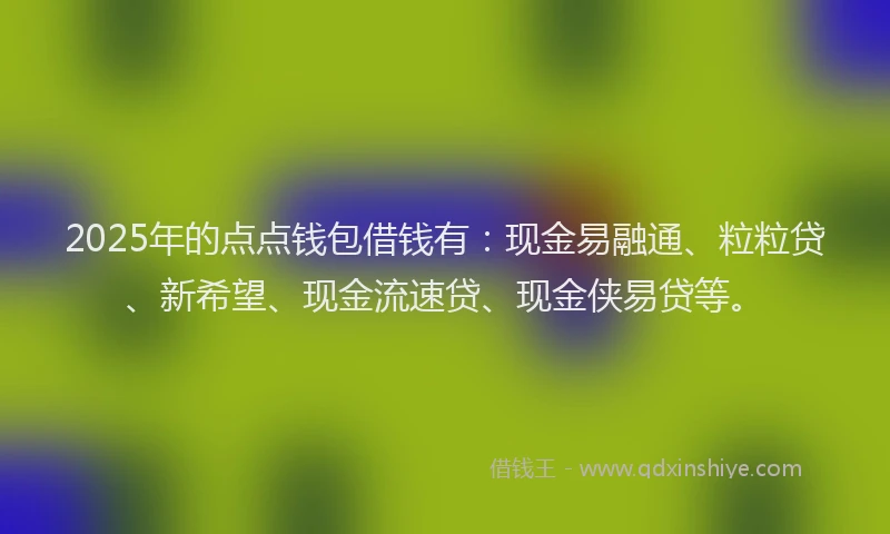2025年的点点钱包借钱有：现金易融通、粒粒贷、新希望、现金流速贷、现金侠易贷等。