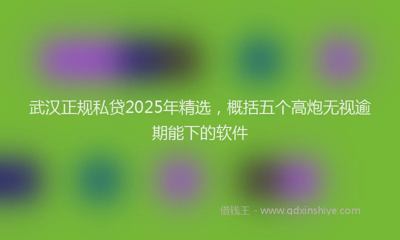 武汉正规私贷2025年精选，概括五个高炮无视逾期能下的软件