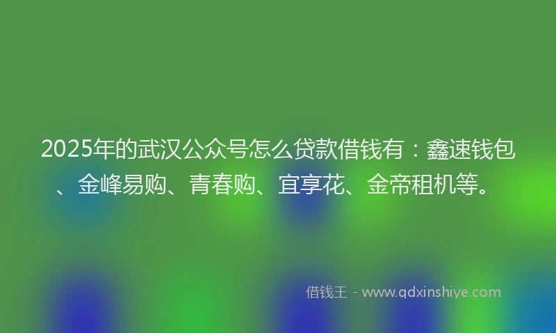 2025年的武汉公众号怎么贷款借钱有：鑫速钱包、金峰易购、青春购、宜享花、金帝租机等。