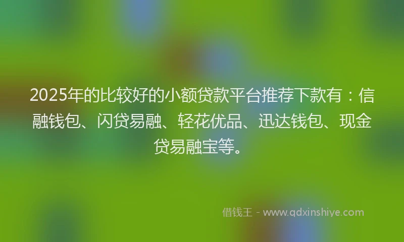 2025年的比较好的小额贷款平台推荐下款有：信融钱包、闪贷易融、轻花优品、迅达钱包、现金贷易融宝等。