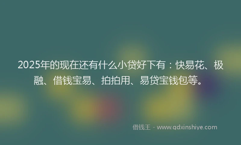 2025年的现在还有什么小贷好下有：快易花、极融、借钱宝易、拍拍用、易贷宝钱包等。