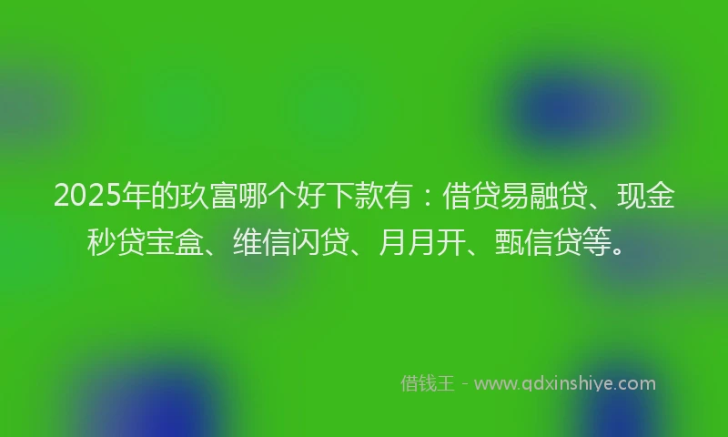 2025年的玖富哪个好下款有：借贷易融贷、现金秒贷宝盒、维信闪贷、月月开、甄信贷等。