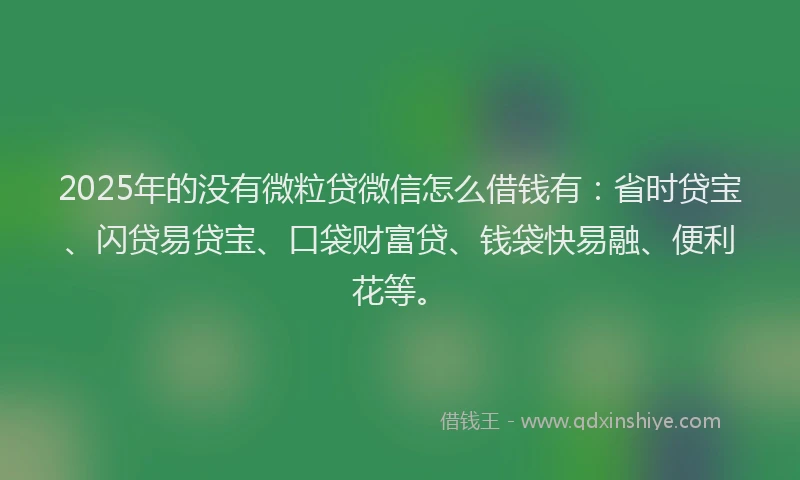 2025年的没有微粒贷微信怎么借钱有：省时贷宝、闪贷易贷宝、口袋财富贷、钱袋快易融、便利花等。