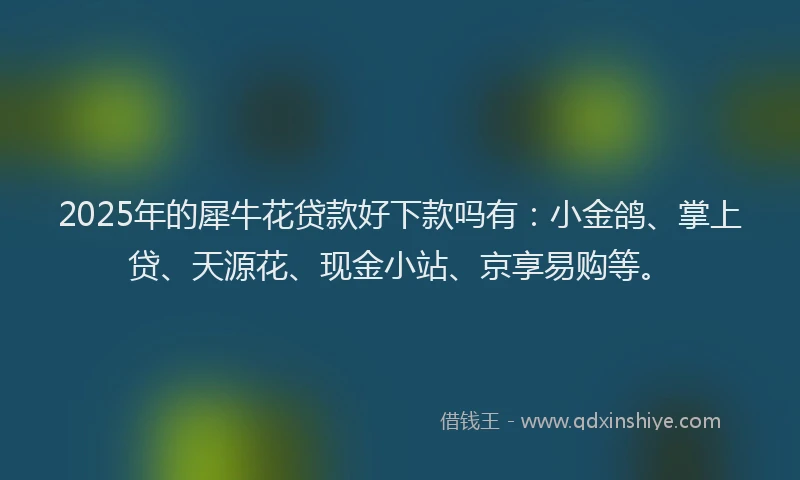 2025年的犀牛花贷款好下款吗有：小金鸽、掌上贷、天源花、现金小站、京享易购等。