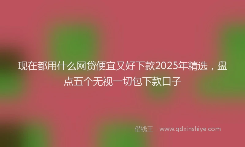 现在都用什么网贷便宜又好下款2025年精选，盘点五个无视一切包下款口子