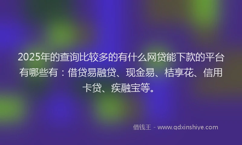 2025年的查询比较多的有什么网贷能下款的平台有哪些有：借贷易融贷、现金易、桔享花、信用卡贷、疾融宝等。