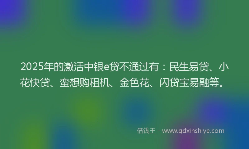 2025年的激活中银e贷不通过有：民生易贷、小花快贷、蛮想购租机、金色花、闪贷宝易融等。
