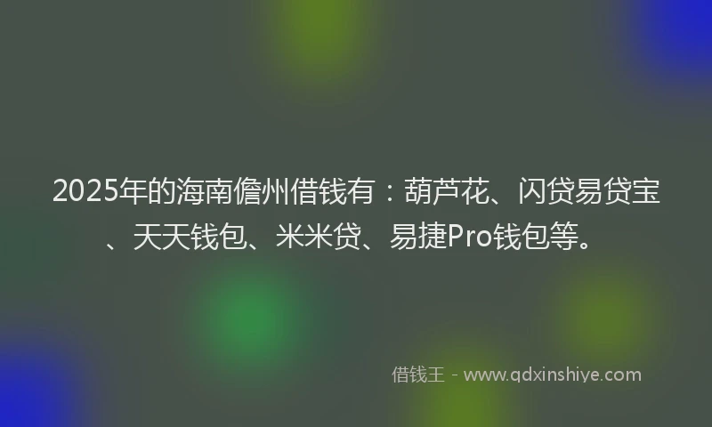 2025年的海南儋州借钱有：葫芦花、闪贷易贷宝、天天钱包、米米贷、易捷Pro钱包等。