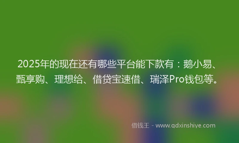 2025年的现在还有哪些平台能下款有：鹅小易、甄享购、理想给、借贷宝速借、瑞泽Pro钱包等。