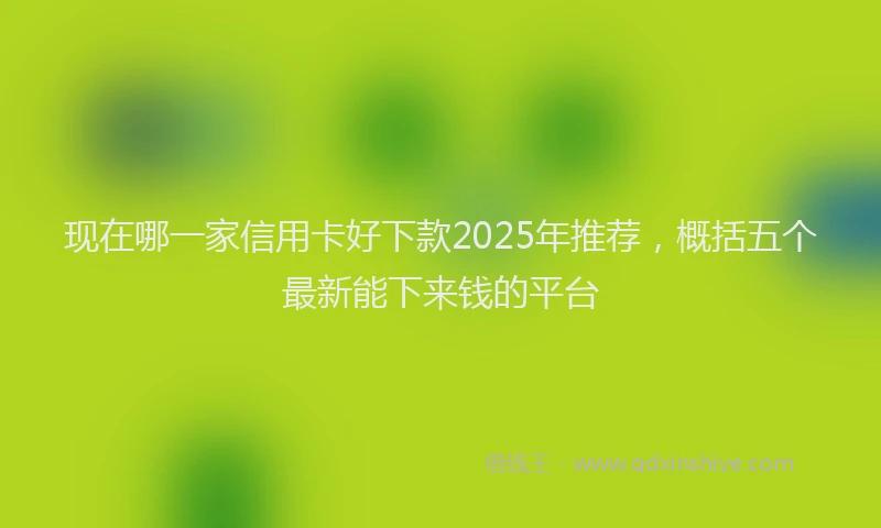 现在哪一家信用卡好下款2025年推荐，概括五个最新能下来钱的平台