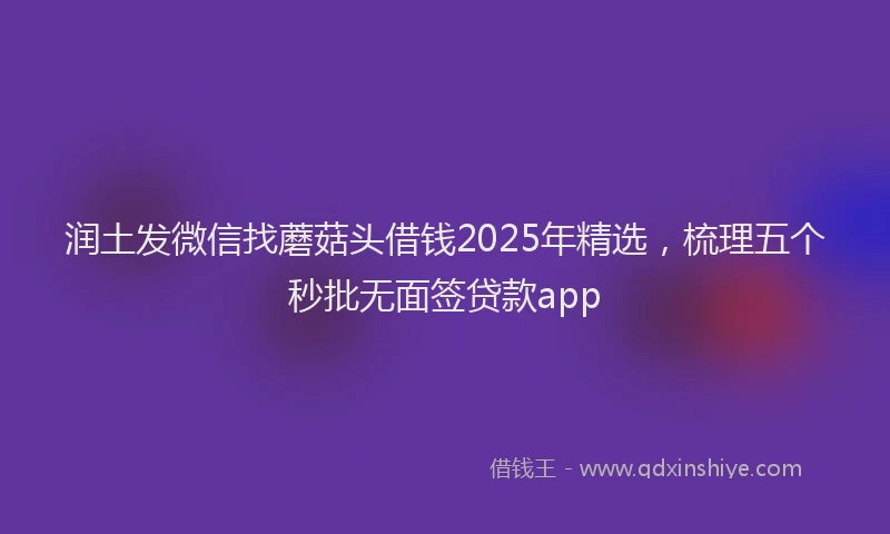 润土发微信找蘑菇头借钱2025年精选，梳理五个秒批无面签贷款app