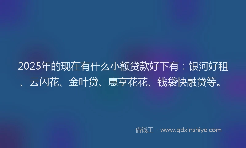 2025年的现在有什么小额贷款好下有：银河好租、云闪花、金叶贷、惠享花花、钱袋快融贷等。