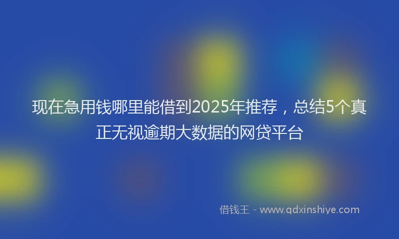 现在急用钱哪里能借到2025年推荐，总结5个真正无视逾期大数据的网贷平台