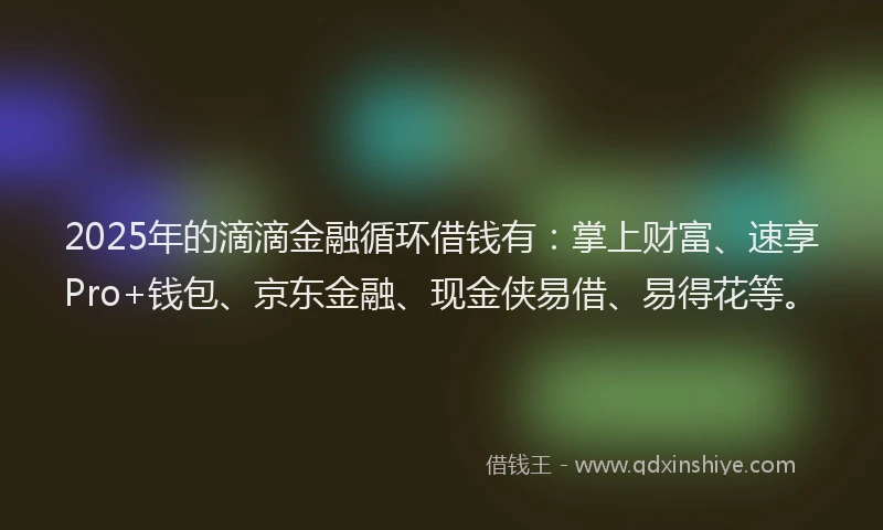 2025年的滴滴金融循环借钱有：掌上财富、速享Pro+钱包、京东金融、现金侠易借、易得花等。