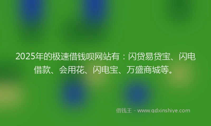 2025年的极速借钱呗网站有：闪贷易贷宝、闪电借款、会用花、闪电宝、万盛商城等。