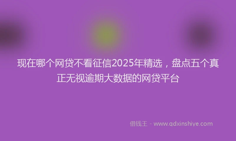 现在哪个网贷不看征信2025年精选，盘点五个真正无视逾期大数据的网贷平台