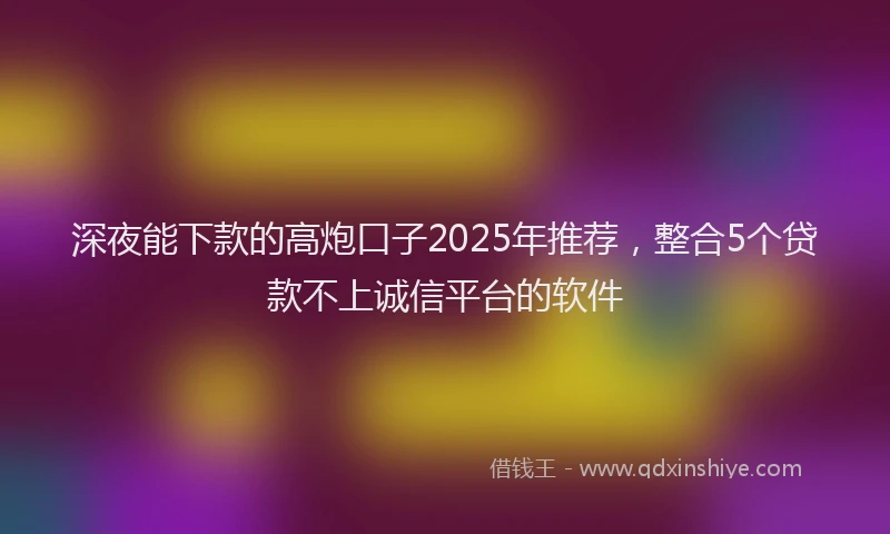 深夜能下款的高炮口子2025年推荐，整合5个贷款不上诚信平台的软件
