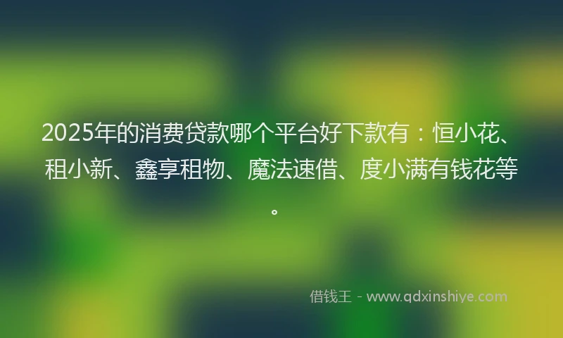 2025年的消费贷款哪个平台好下款有：恒小花、租小新、鑫享租物、魔法速借、度小满有钱花等。