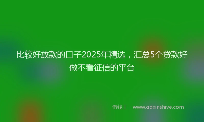比较好放款的口子2025年精选，汇总5个贷款好做不看征信的平台