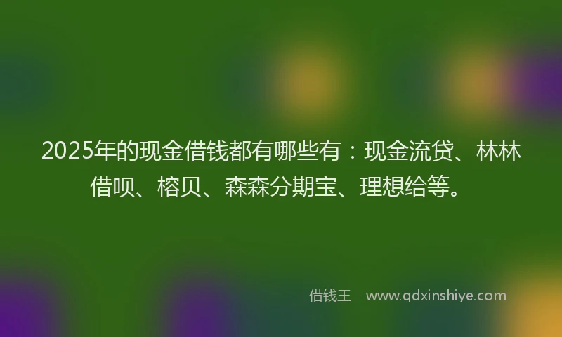 2025年的现金借钱都有哪些有：现金流贷、林林借呗、榕贝、森森分期宝、理想给等。