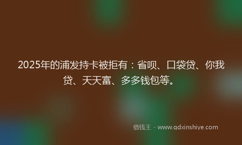2025年的浦发持卡被拒有：省呗、口袋贷、你我贷、天天富、多多钱包等。
