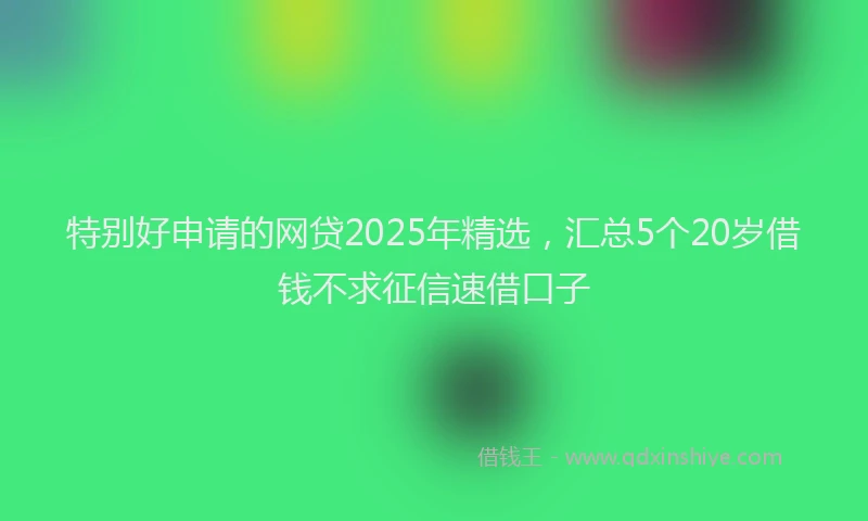 特别好申请的网贷2025年精选，汇总5个20岁借钱不求征信速借口子