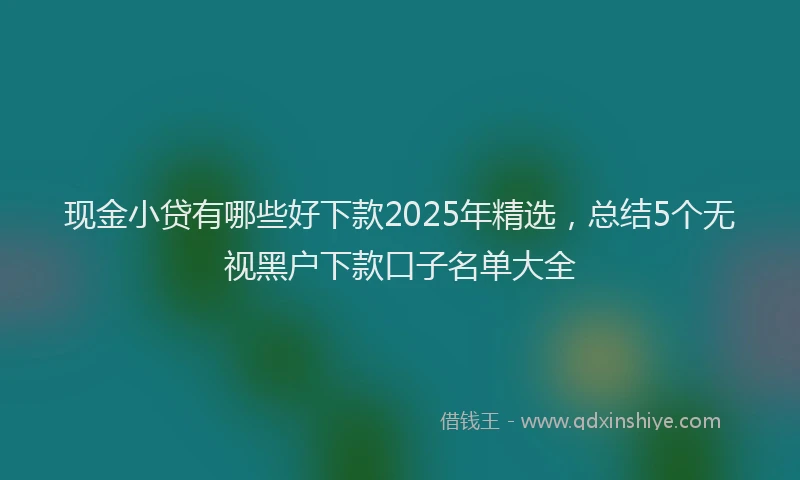现金小贷有哪些好下款2025年精选，总结5个无视黑户下款口子名单大全