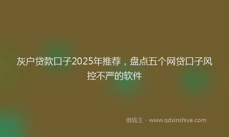 灰户贷款口子2025年推荐，盘点五个网贷口子风控不严的软件