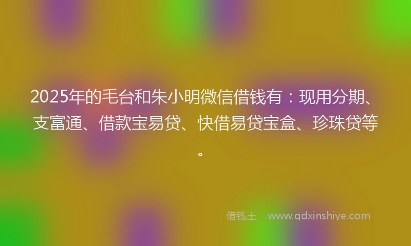 2025年的毛台和朱小明微信借钱有：现用分期、支富通、借款宝易贷、快借易贷宝盒、珍珠贷等。