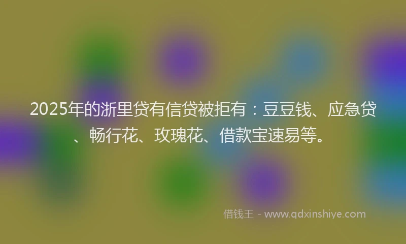 2025年的浙里贷有信贷被拒有：豆豆钱、应急贷、畅行花、玫瑰花、借款宝速易等。