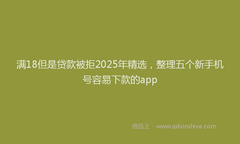 满18但是贷款被拒2025年精选，整理五个新手机号容易下款的app