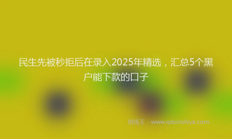 民生先被秒拒后在录入2025年精选，汇总5个黑户能下款的口子