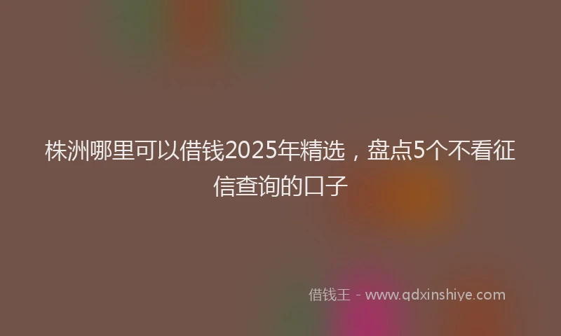 株洲哪里可以借钱2025年精选，盘点5个不看征信查询的口子