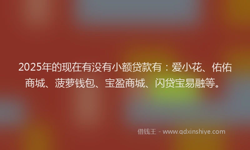 2025年的现在有没有小额贷款有：爱小花、佑佑商城、菠萝钱包、宝盈商城、闪贷宝易融等。
