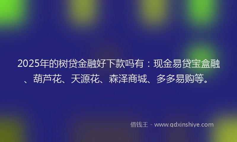2025年的树贷金融好下款吗有：现金易贷宝盒融、葫芦花、天源花、森泽商城、多多易购等。