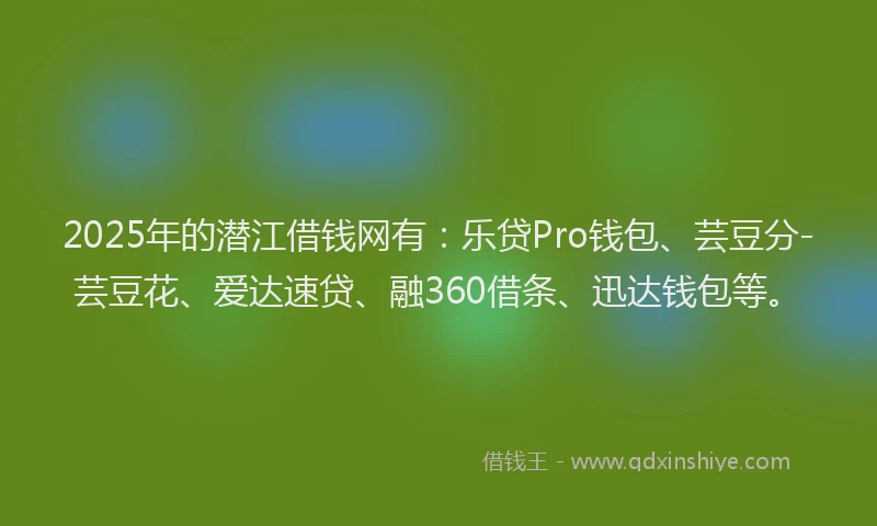 2025年的潜江借钱网有：乐贷Pro钱包、芸豆分-芸豆花、爱达速贷、融360借条、迅达钱包等。