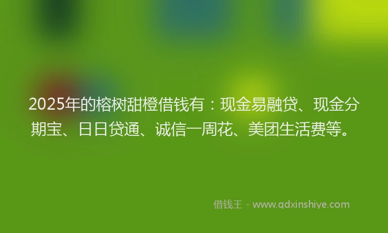 2025年的榕树甜橙借钱有：现金易融贷、现金分期宝、日日贷通、诚信一周花、美团生活费等。